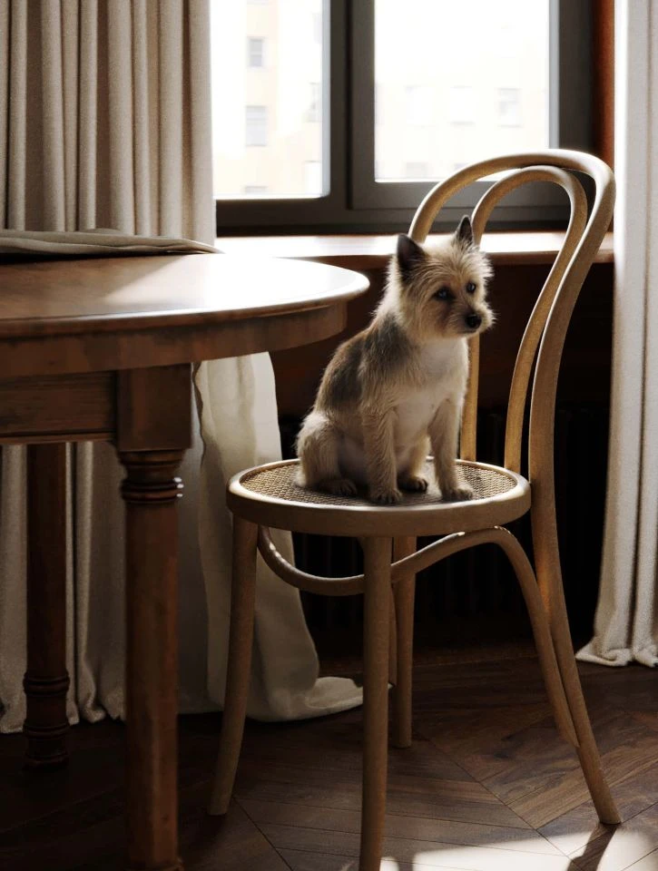 Квартира на Караванной — фото №11, проект от компании «Капитально»